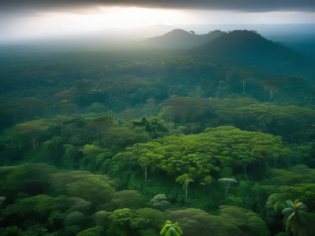 Un impresionante retrato de la exuberante selva amazónica, resaltando su rica biodiversidad y la belleza natural